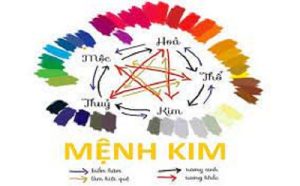 menh-kim-hop-mau-nao