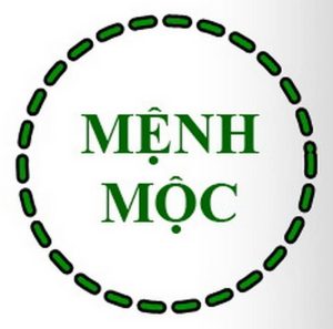 menh-moc-hop-voi-mau-gi