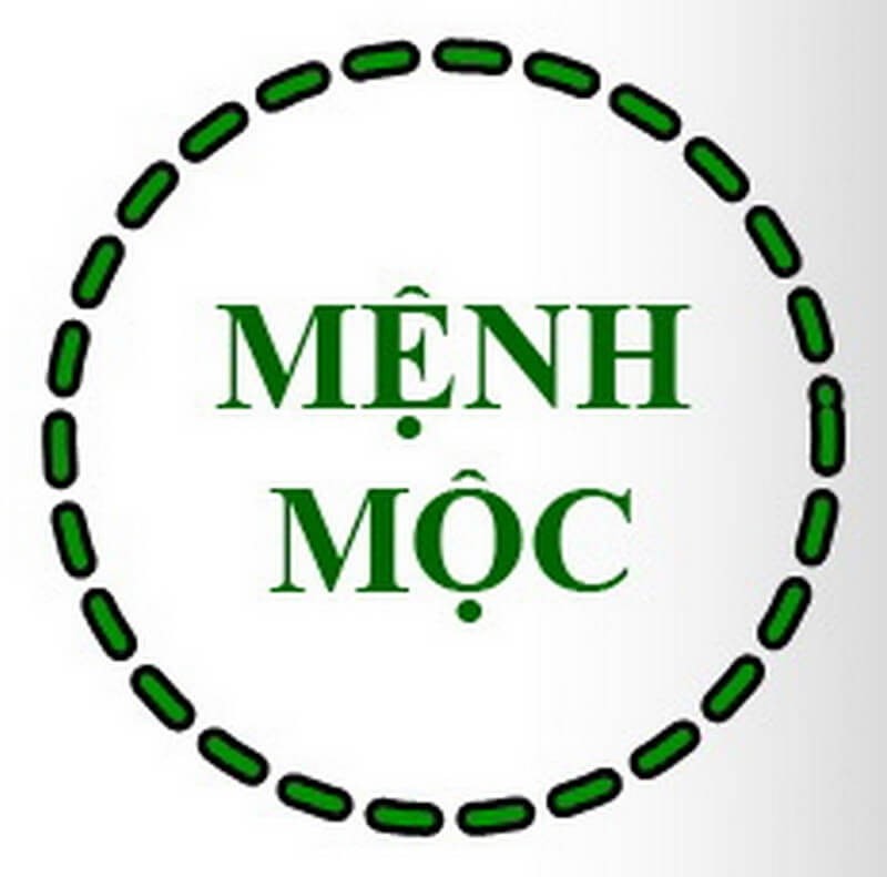 menh-moc-hop-voi-mau-gi