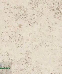 Coral cream limestone