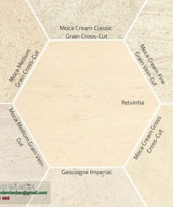 Coral cream limestone
