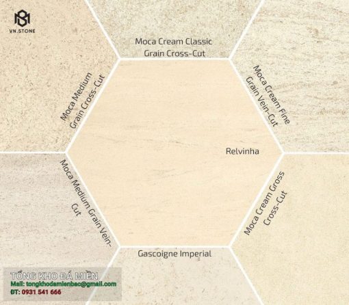 Coral cream limestone