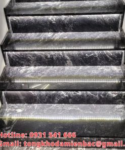 Đá bàn bếp Black Forest granite Ấn Độ